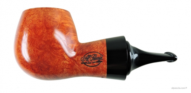 Pipa Al Pascia' Curvy Nature 02- D639 a