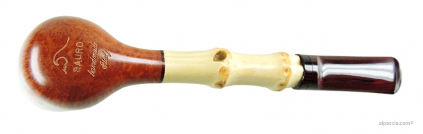 Pipa Sauro - 008 c