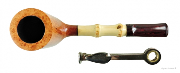 Pipa Sauro - 008 d