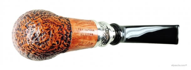Pipa Ser Jacopo Pulchra S2 C - 2125 c