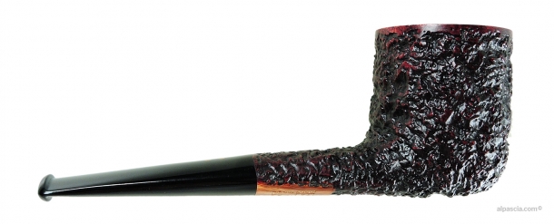 Pipa Radice Rind 2103 b