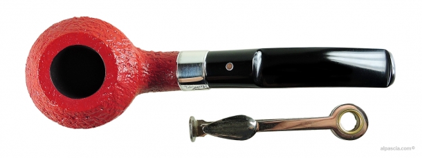 Pipa Ashton Claret XXX - 408 d