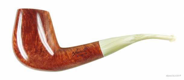 Pipa Amorelli *** - 352 a
