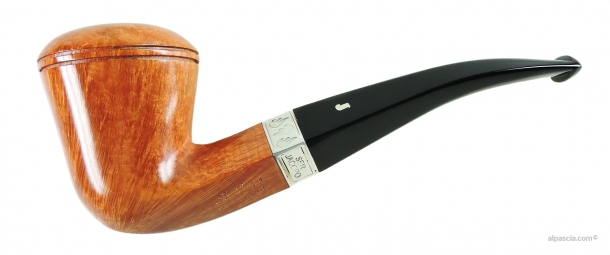 Pipa Ser Jacopo Domina 2025 L2 D 1 - 2165 a