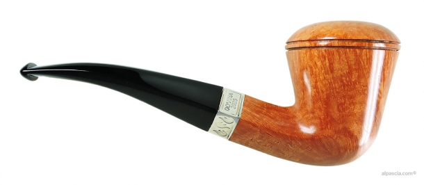 Pipa Ser Jacopo Domina 2025 L2 D 1 - 2165 b