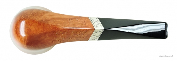 Pipa Ser Jacopo Domina 2025 L2 D 1 - 2165 c