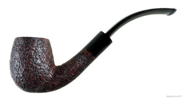 SASIENI 4 DOT ROOT WALNUT