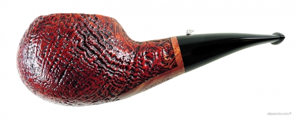 L'ANATRA SABBIATA GIGANTE