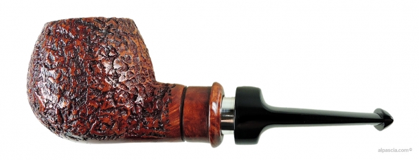 SER JACOPO DELECTA R1 B