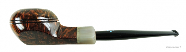 SASIENI 4 DOT WALNUT