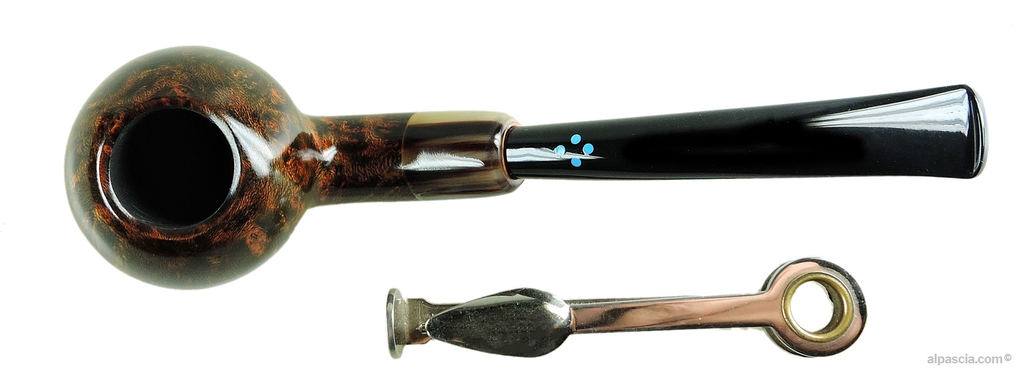 SASIENI 4 DOT WALNUT pipe 048 - top siew