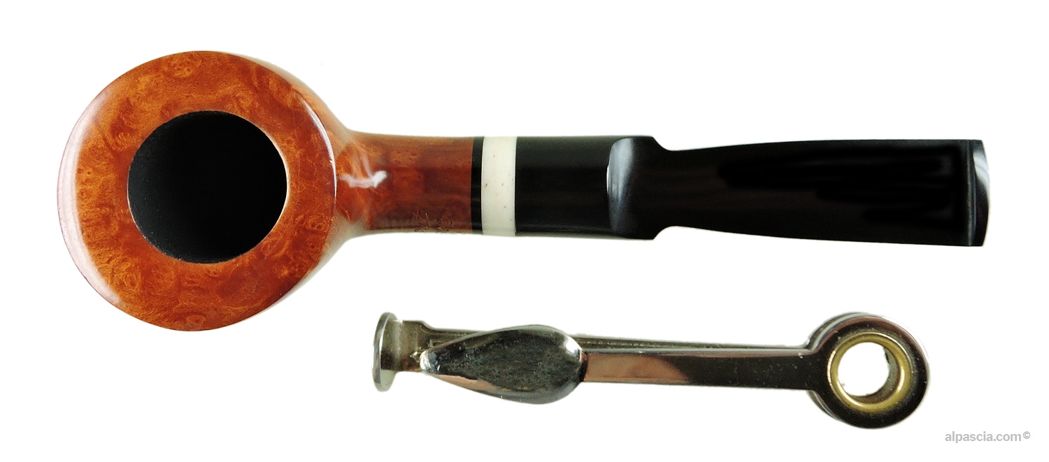 Pipa Leo Borgart - 554d - dall'alto