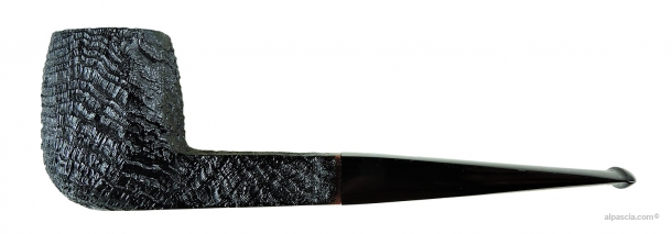 SASIENI 4 DOT RUFF ROOT DARK