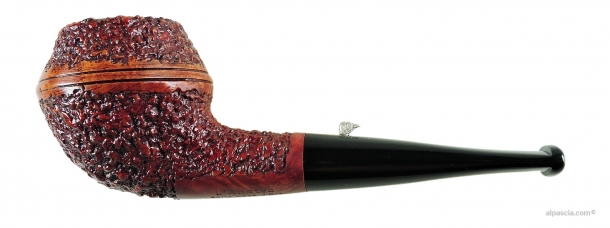 L'ANATRA RUSTICATA