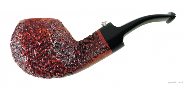 L'ANATRA RUSTICATA
