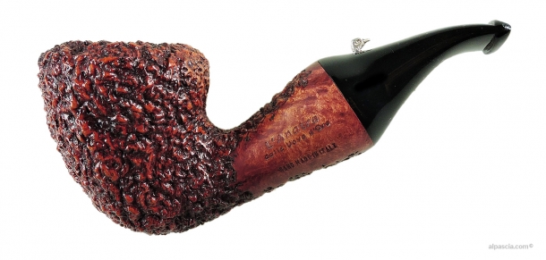 L'ANATRA RUSTICATA