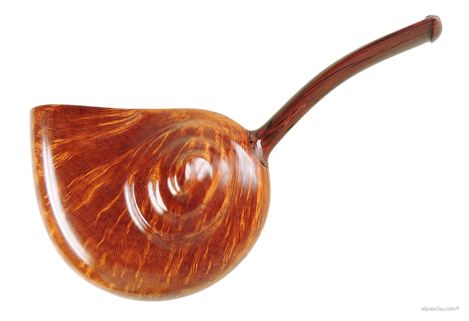Bisonte Smooth Bent Shell Pipe - left profile view showcasing the unique curved shell silhouette and high-gloss smooth finish