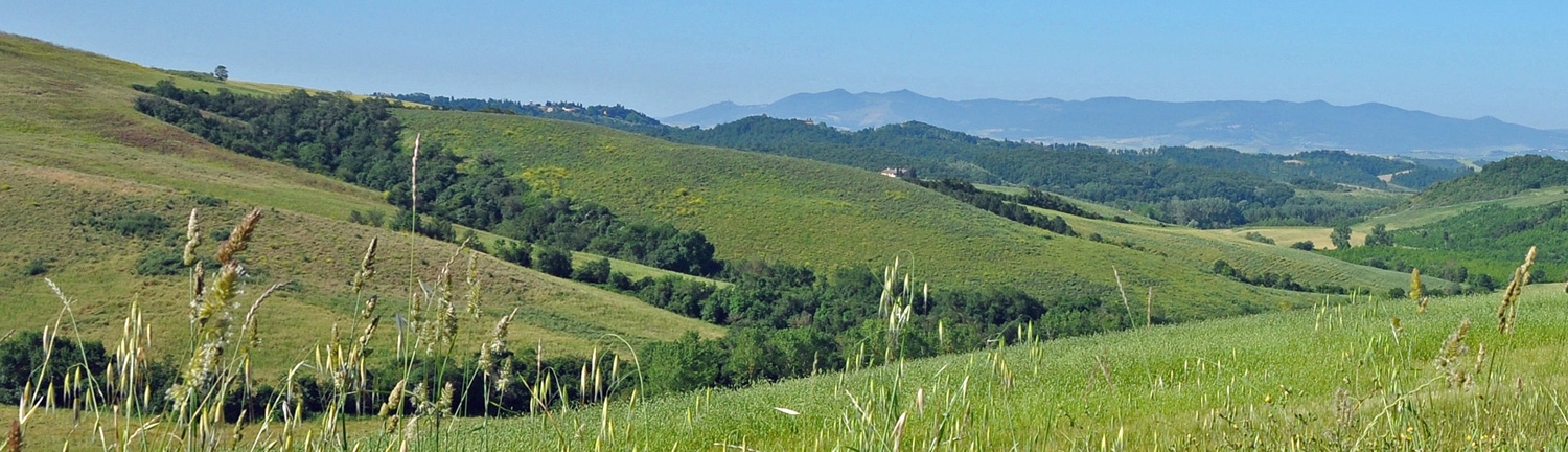 1719309537_Moments-paesaggi-002-LS.jpg